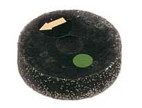 Ściernica szczotkowa  w gumie salvadori.jpg