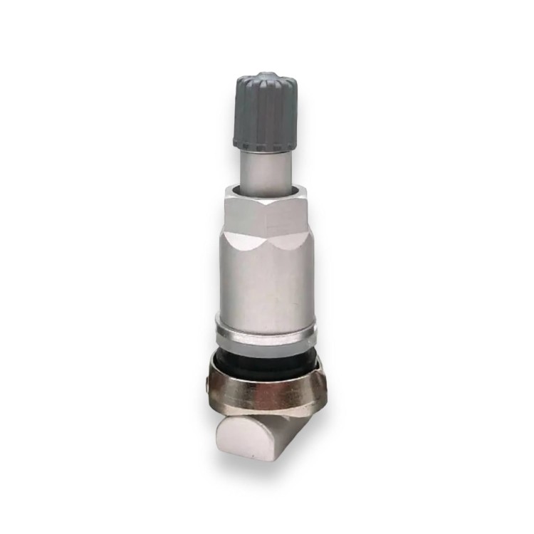 zawor-tpms-schrader-gen-gamma-72-20-438.oy.jpg