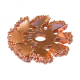 Pierścień szlifierski RFBOT AIRBOT 50X10 mm - ziarno 14.png