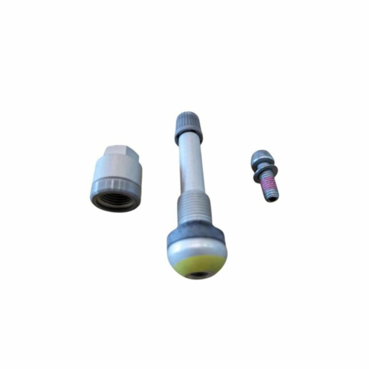 zawor-czujnika-tpms-l56-aluminiowy (1).jpg