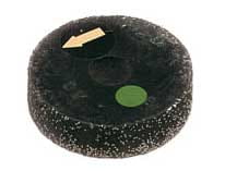 Ściernica szczotkowa  w gumie salvadori.jpg